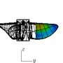 z09.png